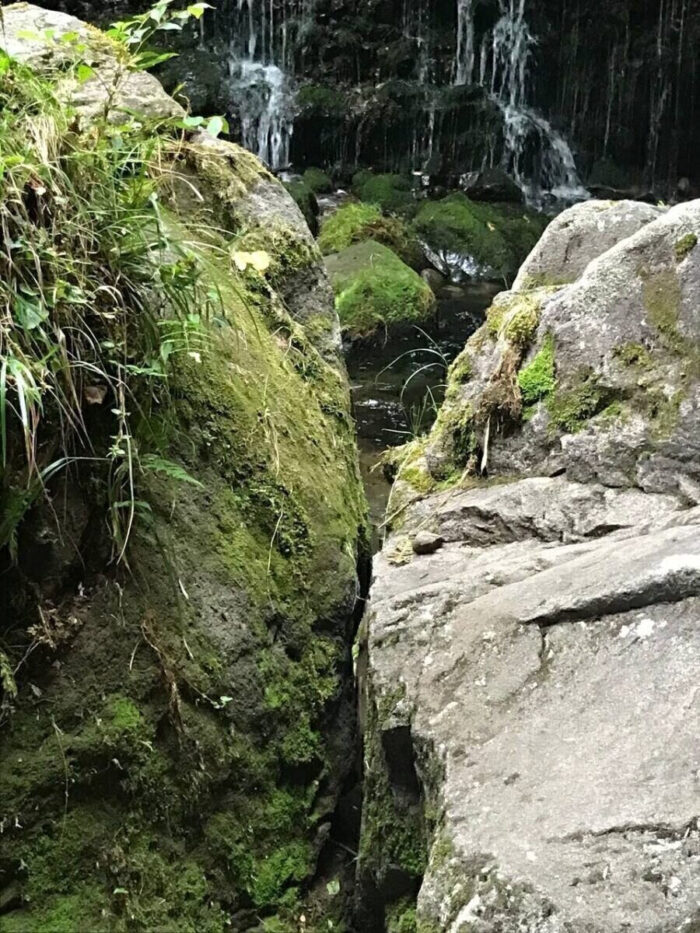 タロット占い「フォーチュン ヒーリング ™」公式ブログ 山形県 鶴岡市 | 元滝伏流水 天然石パワーストーン浄化