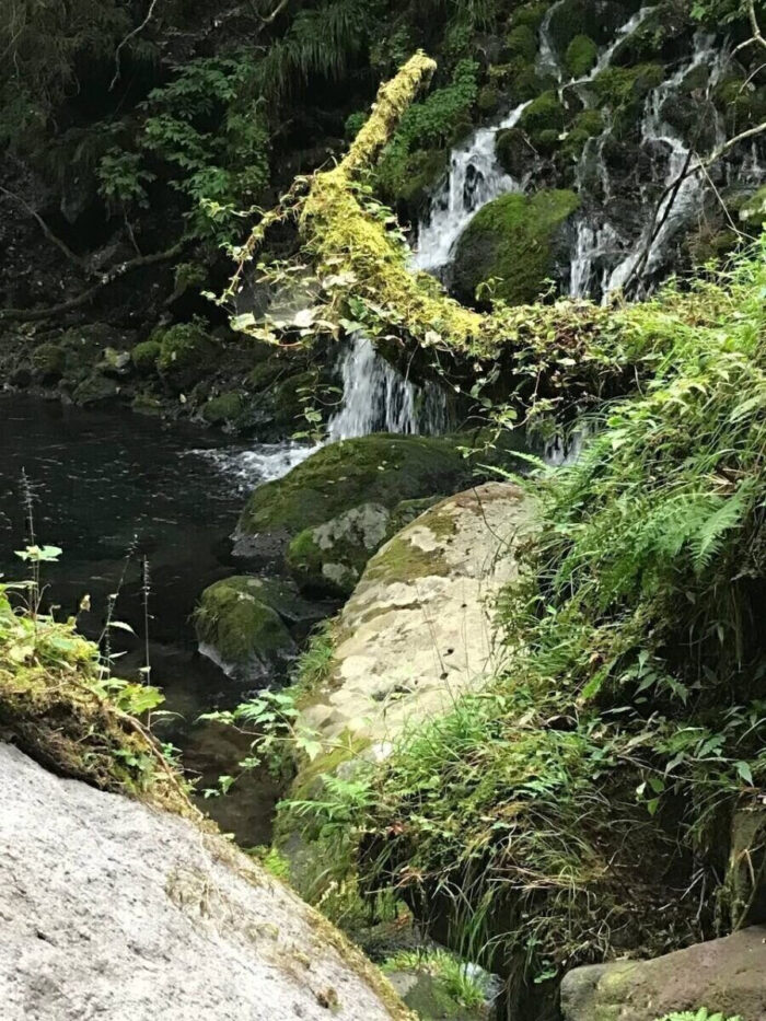 タロット占い「フォーチュン ヒーリング ™」公式ブログ | 元滝伏流水 天然石パワーストーン浄化