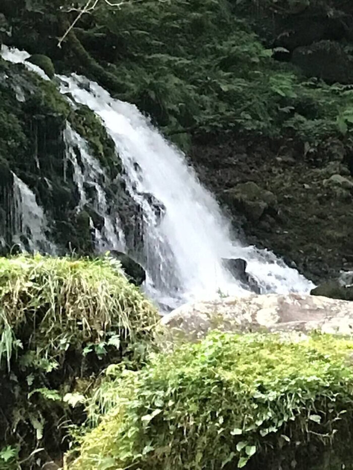 タロット占い「フォーチュン ヒーリング ™」公式ブログ 山形県 鶴岡市 | 元滝伏流水 天然石パワーストーン浄化