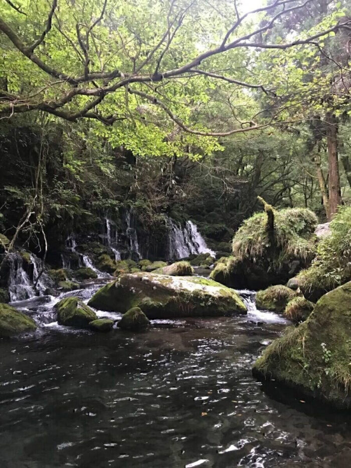 タロット占い「フォーチュン ヒーリング ™」公式ブログ 山形県 鶴岡市 | 元滝伏流水 天然石パワーストーン浄化