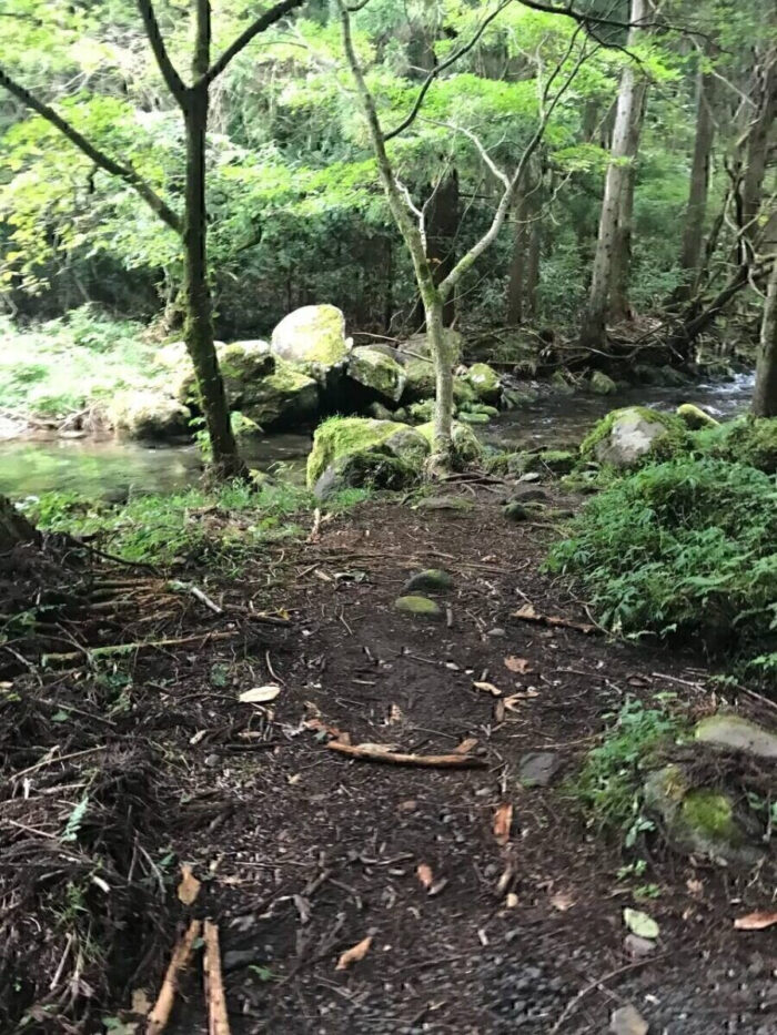 タロット占い「フォーチュン ヒーリング ™」公式ブログ 山形県 鶴岡市 | 元滝伏流水 天然石パワーストーン浄化