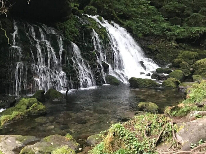 タロット占い「フォーチュン ヒーリング ™」公式ブログ 山形県 鶴岡市 | 元滝伏流水 天然石パワーストーン浄化