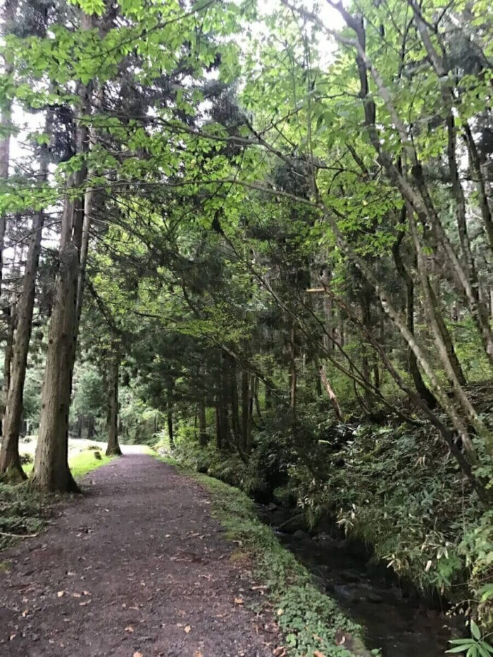 タロット占い「フォーチュン ヒーリング ™」公式ブログ 山形県 鶴岡市 | 元滝伏流水 天然石パワーストーン浄化