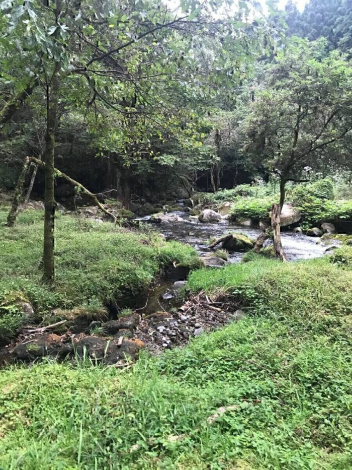 タロット占い「フォーチュン ヒーリング ™」公式ブログ 山形県 鶴岡市 | 元滝伏流水 天然石パワーストーン浄化