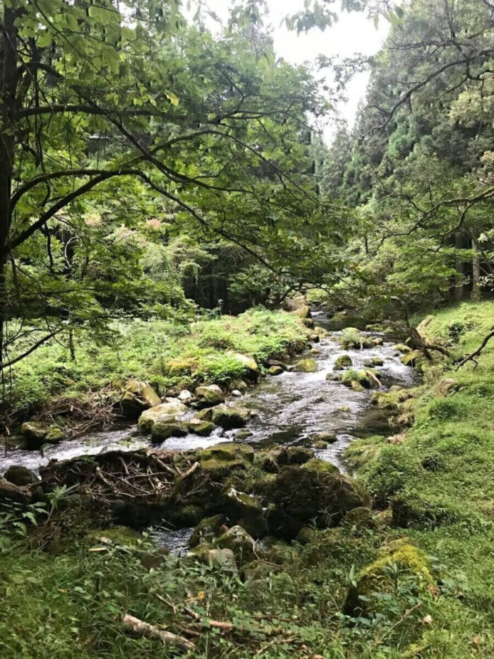 タロット占い「フォーチュン ヒーリング ™」公式ブログ 山形県 鶴岡市 | 元滝伏流水 天然石パワーストーン浄化