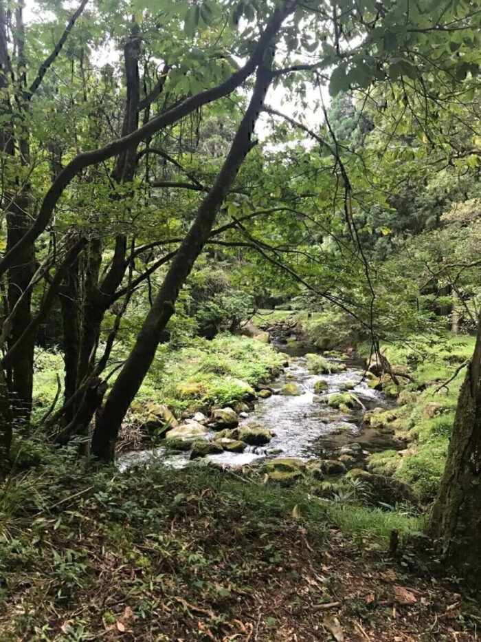 タロット占い「フォーチュン ヒーリング ™」公式ブログ 山形県 鶴岡市 | 元滝伏流水 天然石パワーストーン浄化