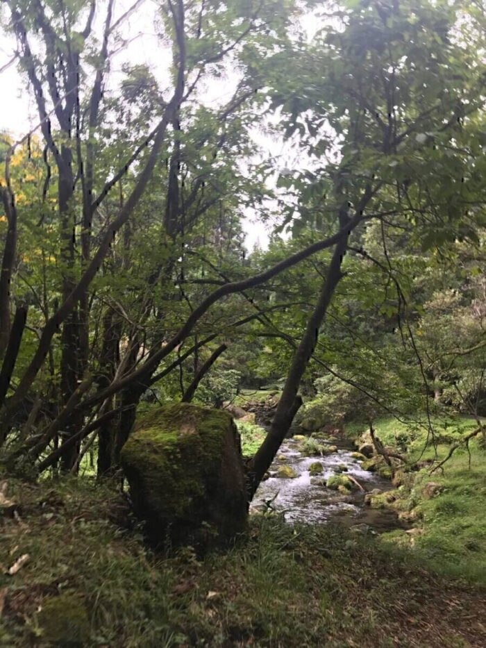 タロット占い「フォーチュン ヒーリング ™」公式ブログ 山形県 鶴岡市 | 元滝伏流水 天然石パワーストーン浄化