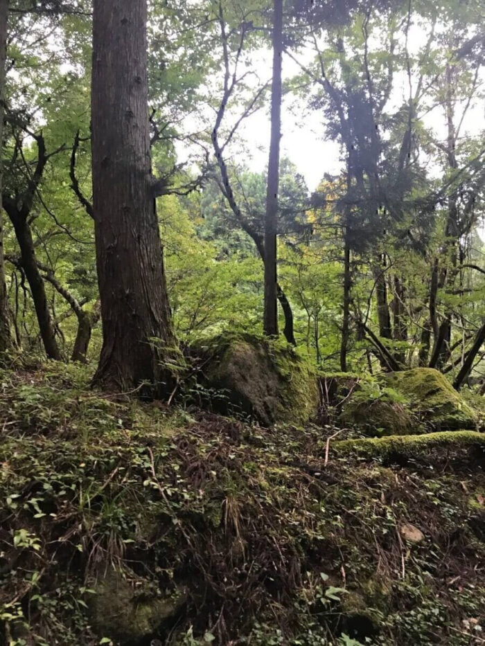 タロット占い「フォーチュン ヒーリング ™」公式ブログ 山形県 鶴岡市 | 元滝伏流水 天然石パワーストーン浄化