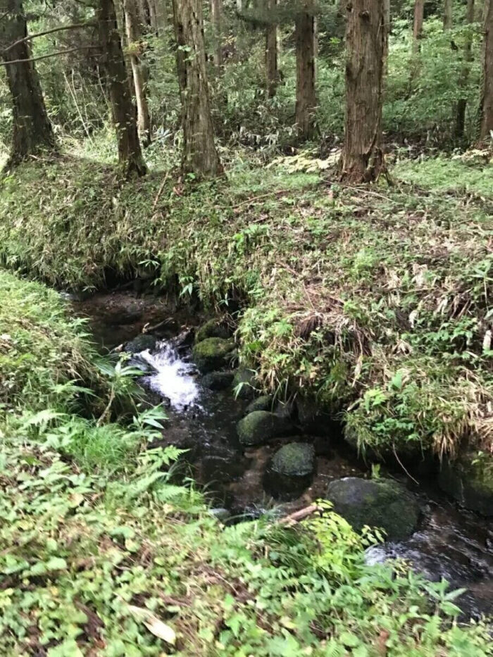 タロット占い「フォーチュン ヒーリング ™」公式ブログ 山形県 鶴岡市 | 元滝伏流水 天然石パワーストーン浄化