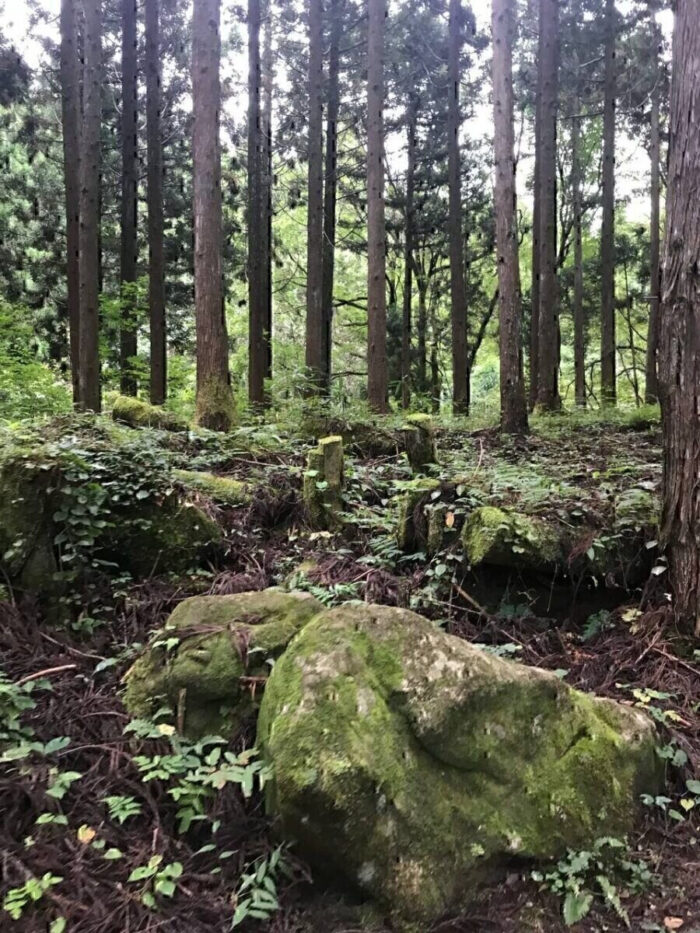 タロット占い「フォーチュン ヒーリング ™」公式ブログ 山形県 鶴岡市 | 元滝伏流水 天然石パワーストーン浄化