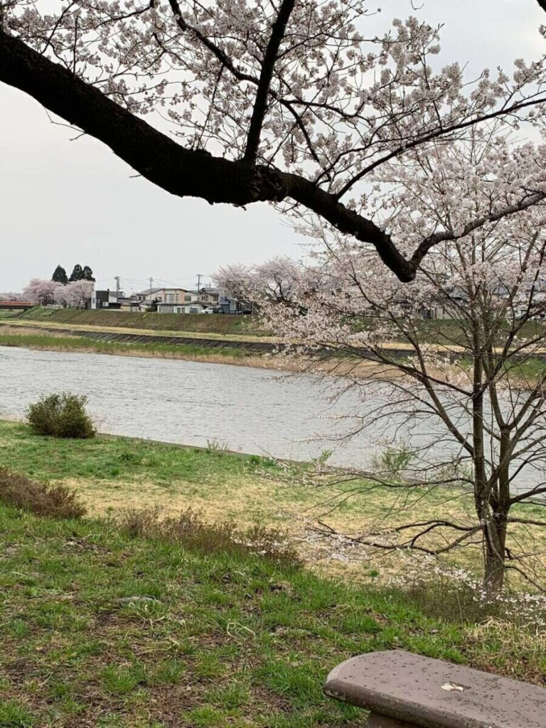 タロット占い「フォーチュン ヒーリング ™」公式ブログ | 桜の名所 秋田県 角館 武家屋敷 パワースポットめぐり