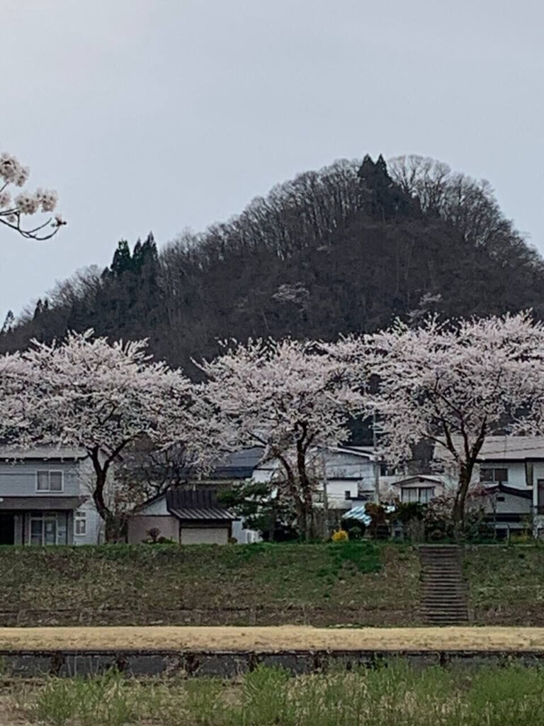 タロット占い「フォーチュン ヒーリング ™」公式ブログ 山形県 鶴岡市 | 桜の名所 秋田県 角館 武家屋敷 パワースポットめぐり