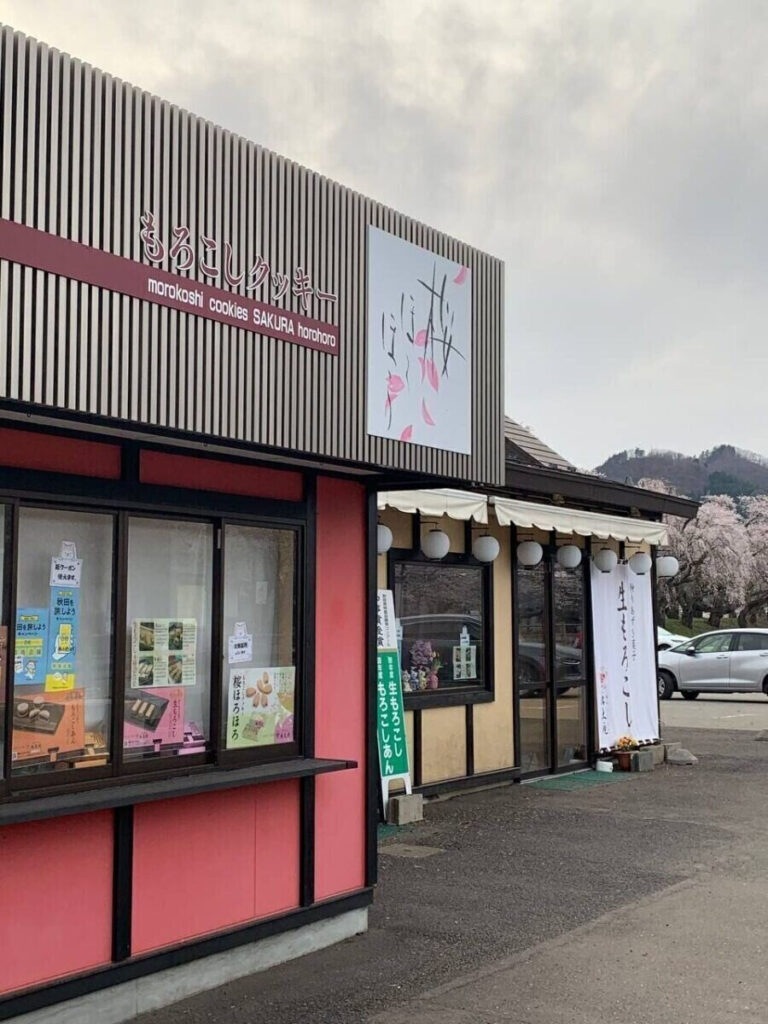 タロット占い「フォーチュン ヒーリング ™」公式ブログ | 桜の名所 秋田県 角館 武家屋敷 パワースポットめぐり