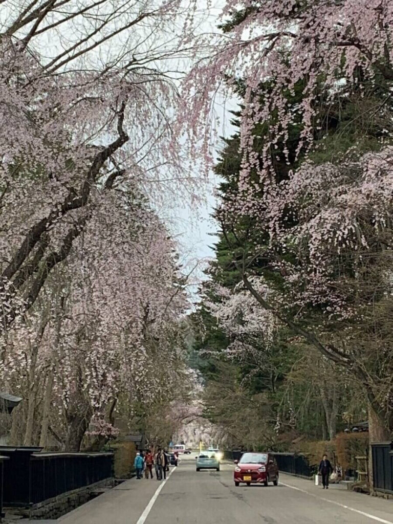 タロット占い「フォーチュン ヒーリング ™」公式ブログ 山形県 鶴岡市 | 桜の名所 秋田県 角館 武家屋敷 パワースポットめぐり