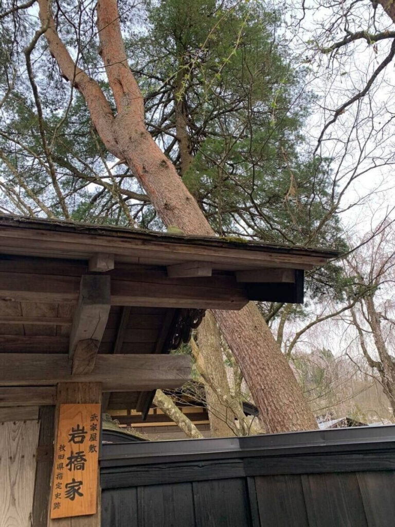 タロット占い「フォーチュン ヒーリング ™」公式ブログ | 桜の名所 秋田県 角館 武家屋敷 パワースポットめぐり