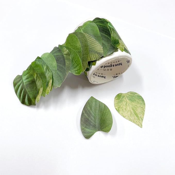 やまがた こころの相談所 | モリモリつやつや毎日元気をもらえる多肉植物の深い緑色