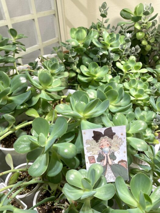 タロット占い「フォーチュン ヒーリング ™」山形県 鶴岡 酒田 公式ブログ | 細胞レベルで癒される、かわいいイラスト