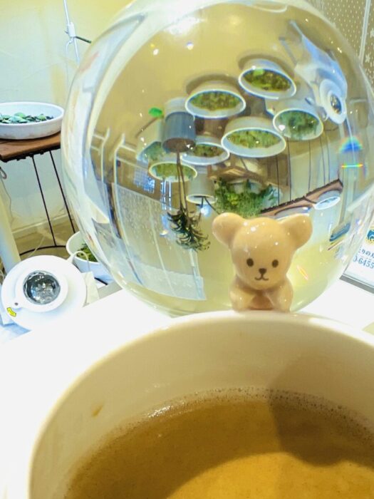 タロット占い「フォーチュン ヒーリング ™」山形県 鶴岡 酒田 公式ブログ | 心に栄養補給、オラクル占い